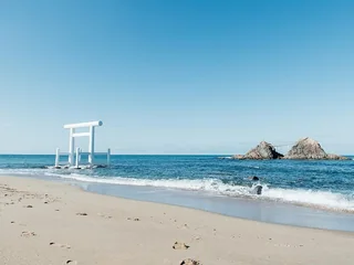 海岸上的白色鳥居與玄界灘中的夫婦岩