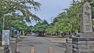 合浦公園 合浦公園