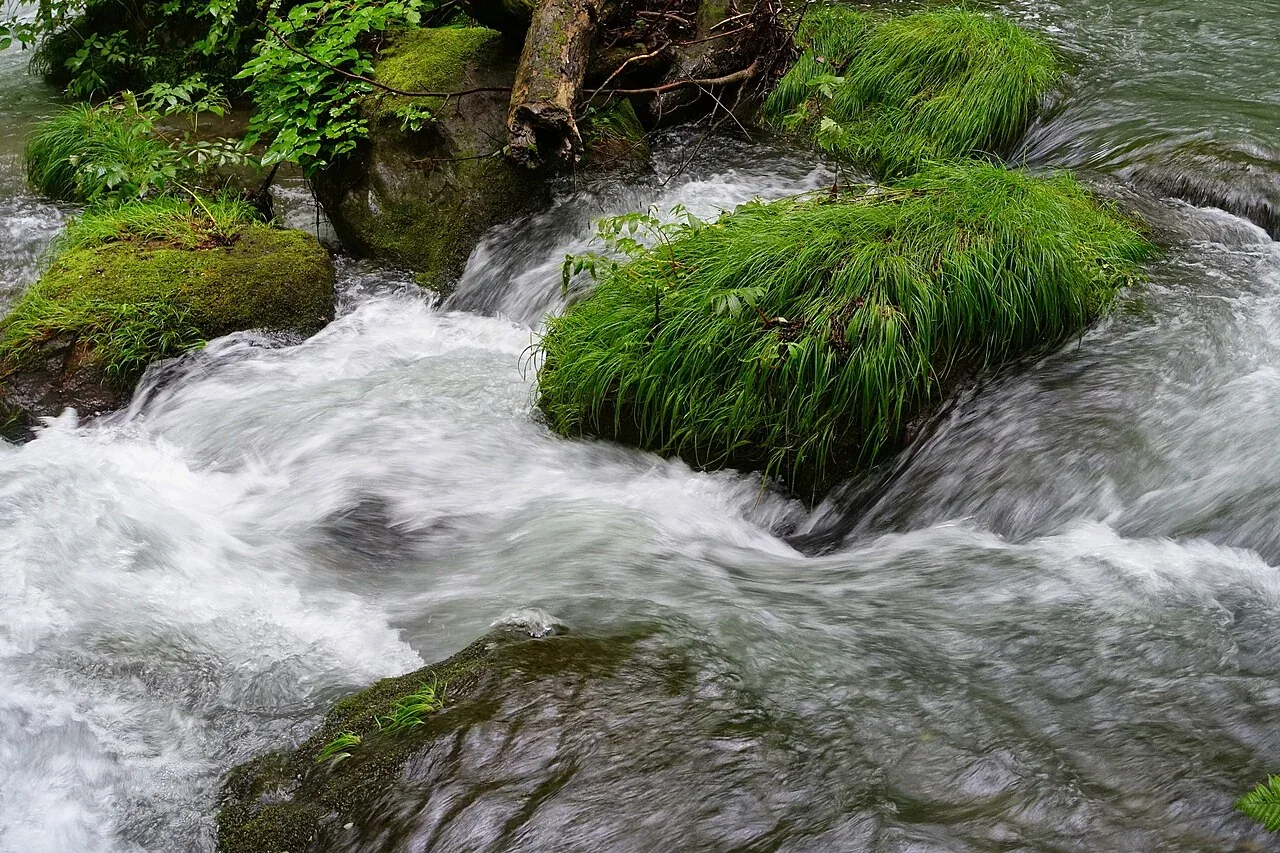 奧入瀨溪流林間水景