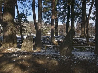 毛越寺的芭蕉句碑