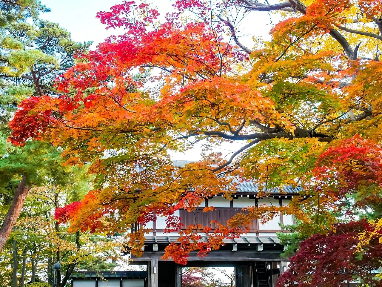 秋田千秋公園秋季紅葉與園景