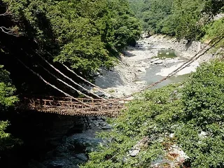 祖谷藤蔓橋