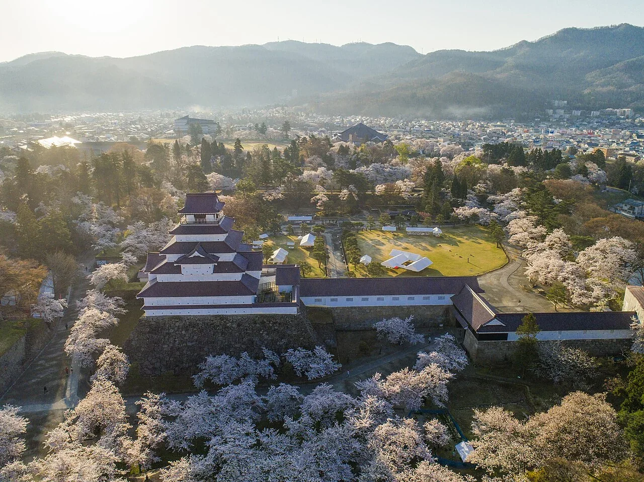 鶴城櫻花實景