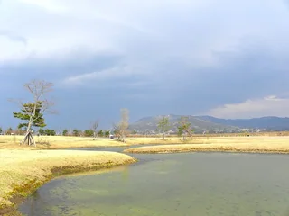 柳之御所遺跡 柳之御所遺跡
