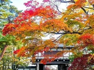 秋田千秋公園秋景