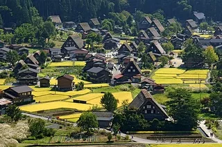 白川鄉合掌造聚落