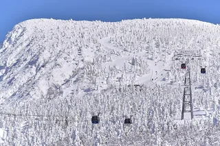 藏王滑雪場 蔵王温泉スキー場