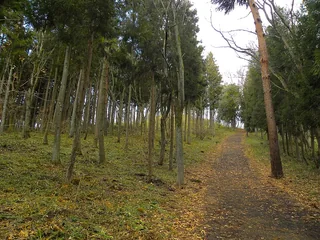 金雞山 金鶏山