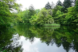 輕井澤雲場池