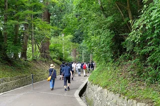 中尊寺月見坂 月見坂