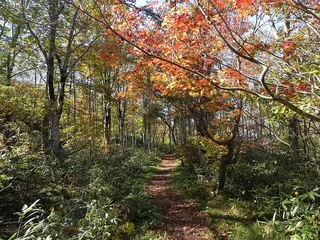 藏王中央高原 蔵王中央高原