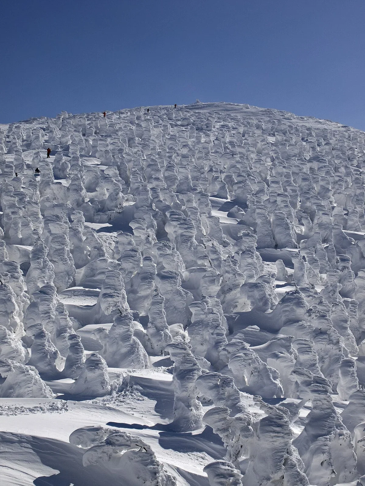 藏王地藏山頂站附近樹冰・2013 年實景