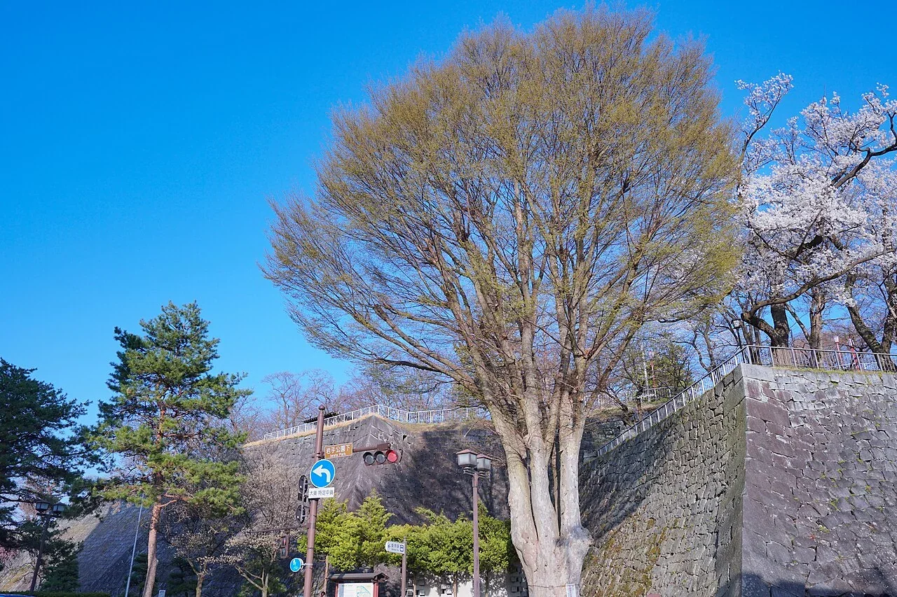 盛岡城跡公園歷年實景
