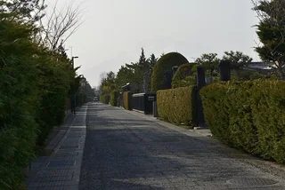 仲町武家屋敷 仲町伝統的建造物群保存地区