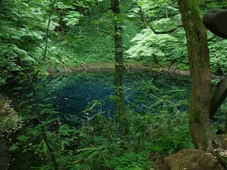 白神山地・十二湖 白神山地・十二湖