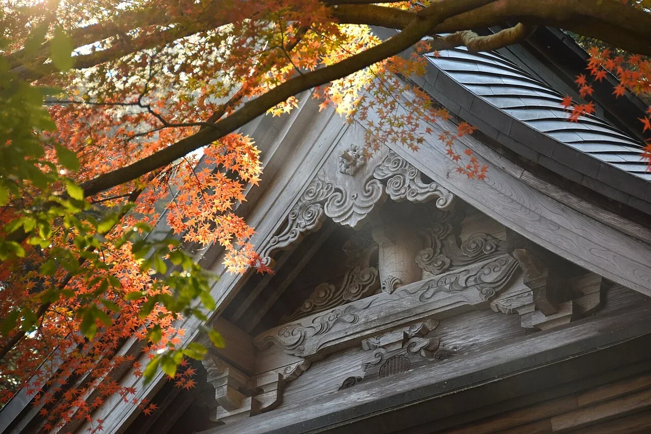 庭園紅葉與古寺山道・實景照片