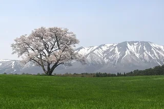 雫石 雫石町