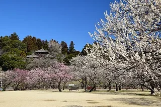 水戶偕樂園