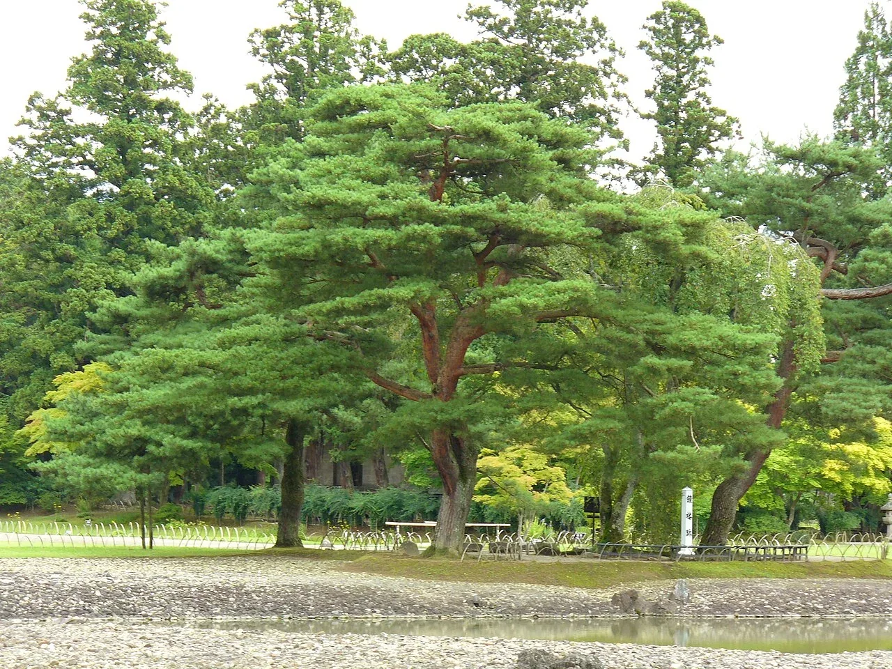 藤原祭與平安文化・實景照片