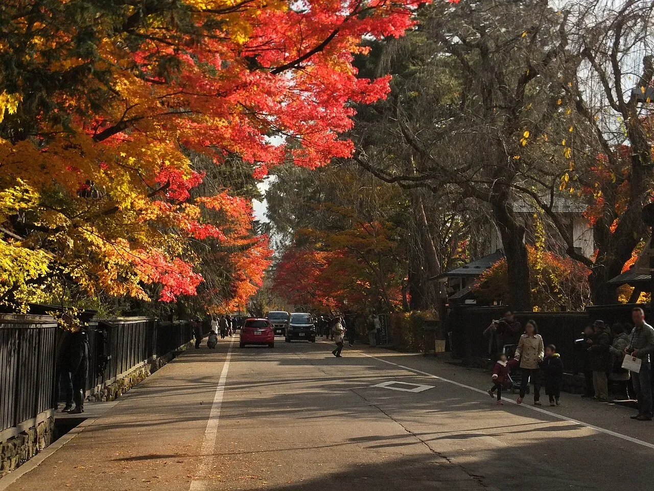 角館武家屋敷通的秋日紅葉（歷年實景照片）