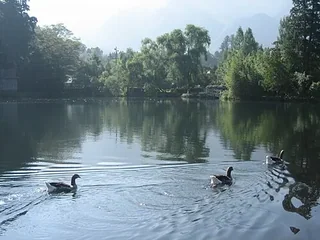 由布院金鱗湖
